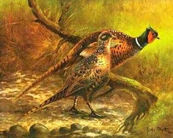 unknow artist Birds 102 oil painting image